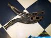 1678_p19676.jpg