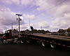 Picture_842.jpg