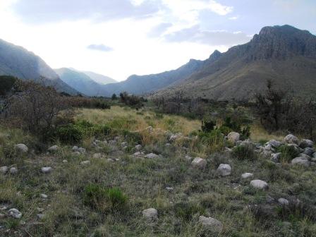 Guadalupe National Park, Texas