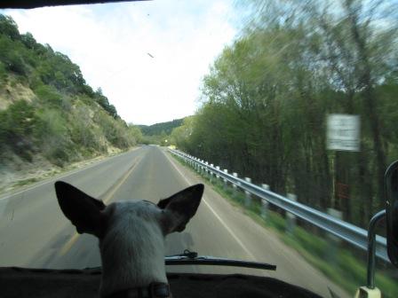 Nervous Navigator