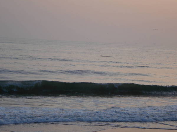 A day at the beach in Calif with a Kingsley coach