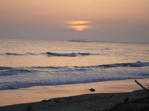 A day at the beach in Calif with a Kingsley coach