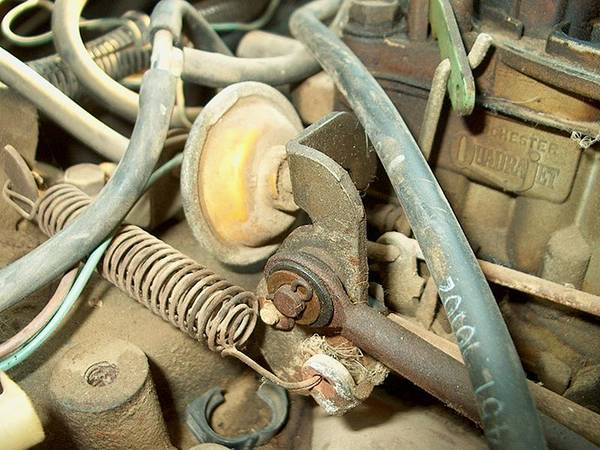 Accelerator cable