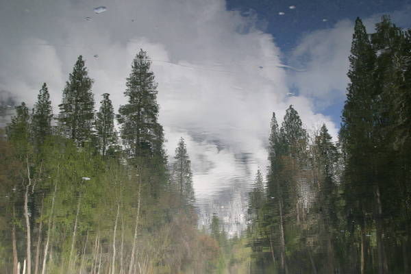 Reflections in the Merced River, Yosemite NP