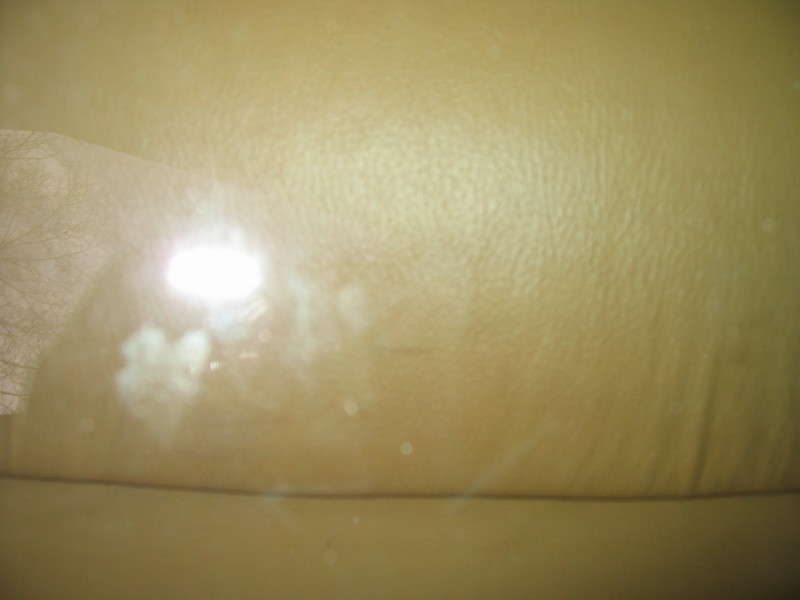 1260_-_Some_wrinkles_show_through_the_windshield