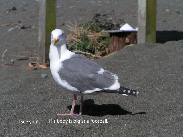 1016