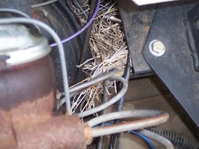 Wiper mount birds nest