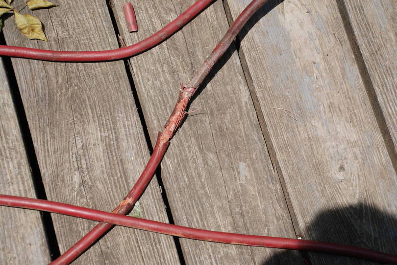 Bad Wire
