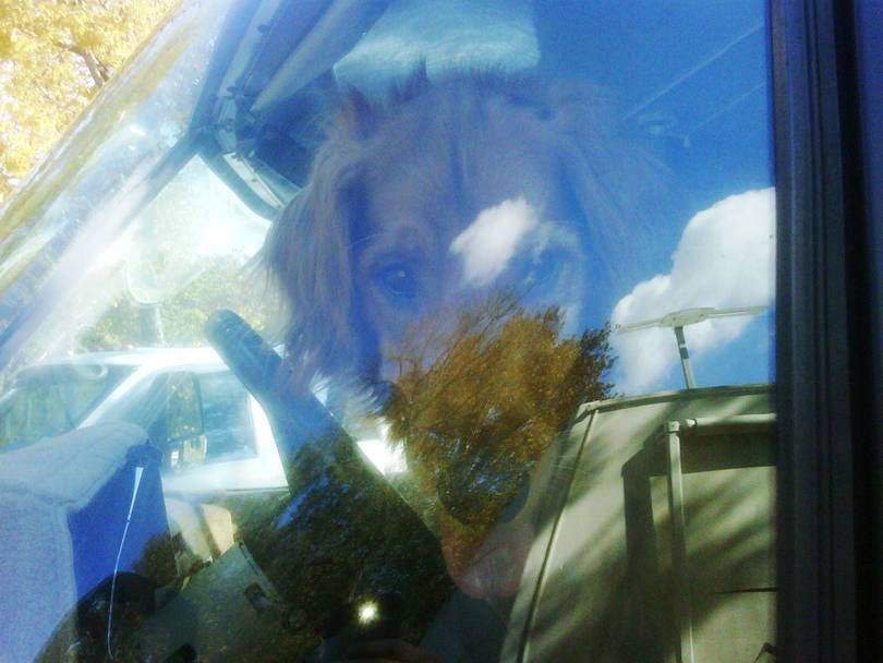 My co back up driver tanner