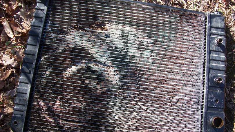 Marc's Fan Damaged Radiator