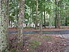 DSCN1126.JPG