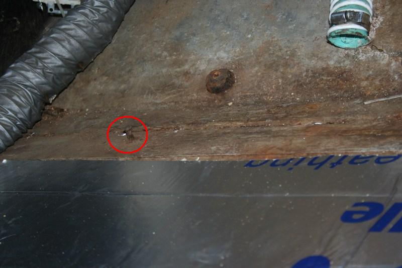 Rear Floor Replacement