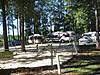 IMG_9133_450x600.JPG