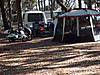 hunting_island_march_2009_008.jpg