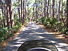 hunting_island_march_2009_018.jpg