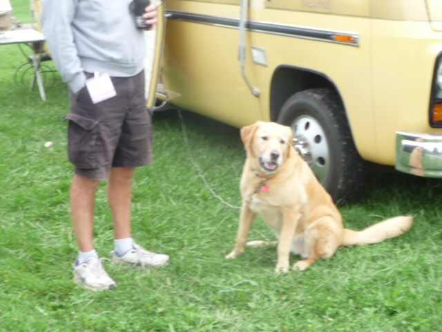 2016 Fall International