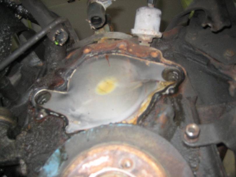 Timing Chain R/R