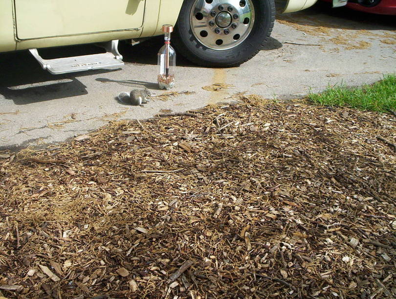 Luther &amp; Wanda McConnells new friend