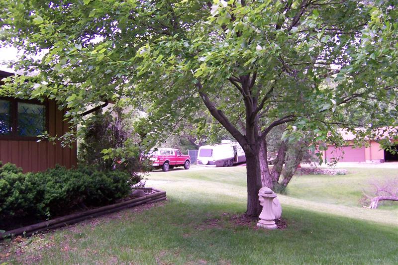 Good shot of the farm.