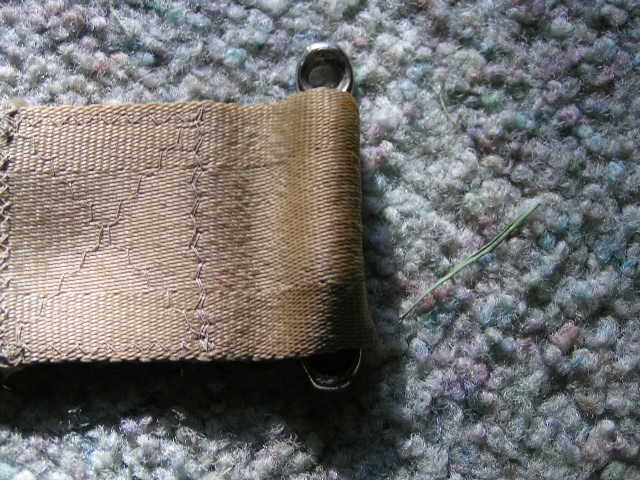 PICT00481