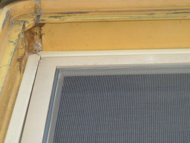 PICT0226