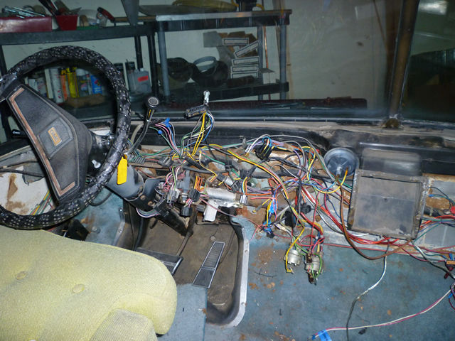 Misc_Pics_019