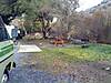 picture0006.jpg