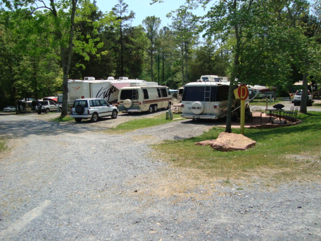 DSC00781