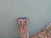 PICT0569.JPG