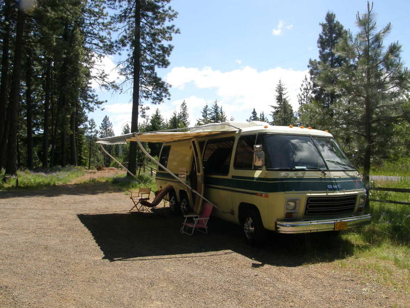 Trout Lake 2011