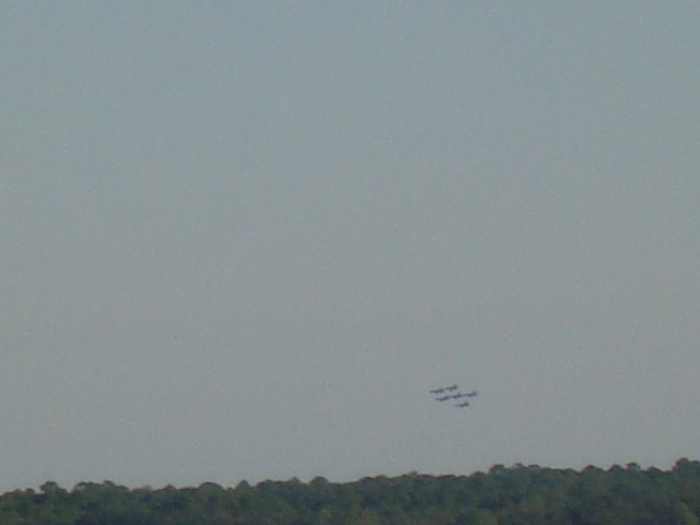 Blue Angels