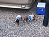 IMG_3596.JPG
