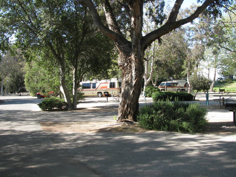 First day at San Lorenzo Regional Park