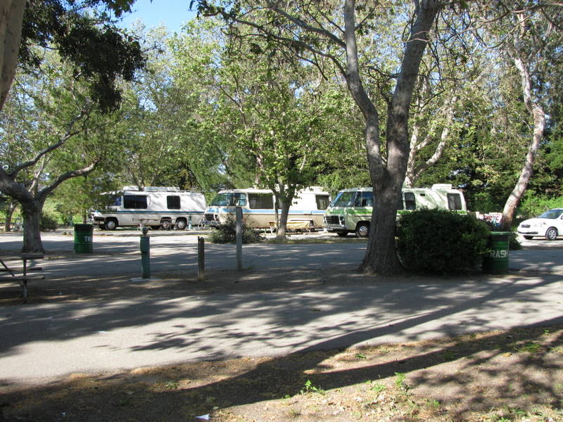 First day at San Lorenzo Regional Park