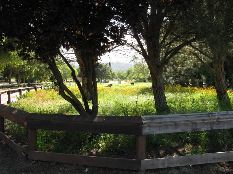 First day at San Lorenzo Regional Park