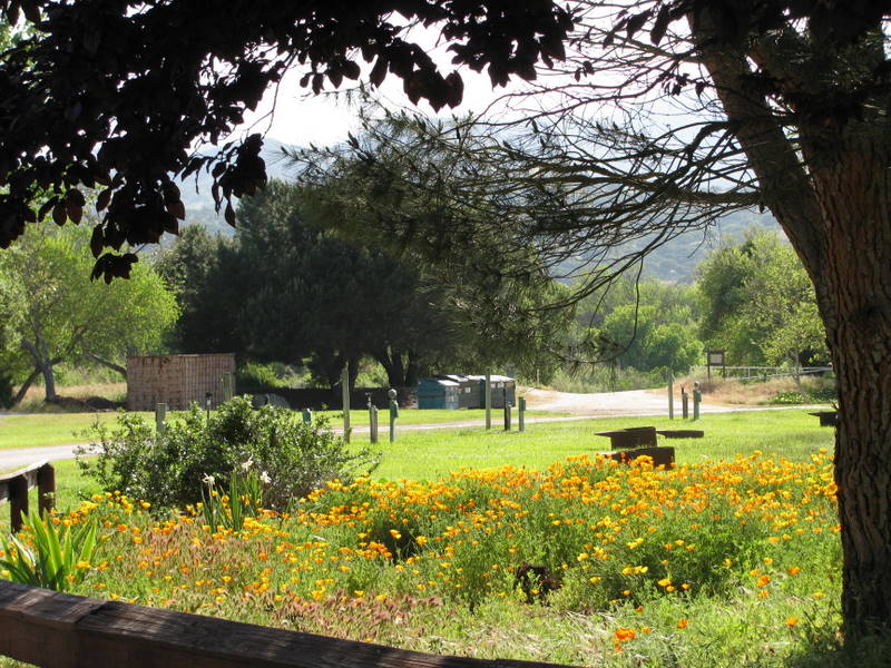 First day at San Lorenzo Regional Park