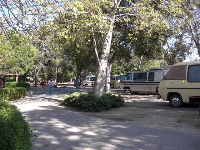 CIMG2994_Small_