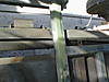 P10100046.JPG