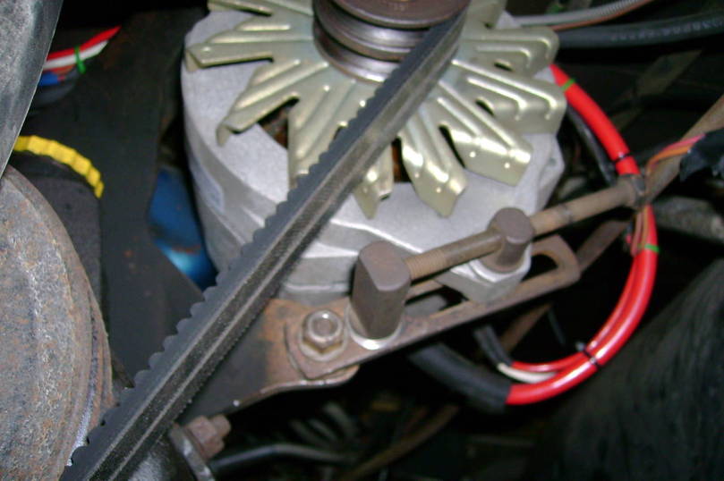 DUAL BELT - NO WRAP