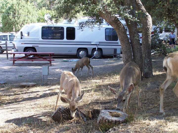 2012 trip to Burro Mountain Homestead