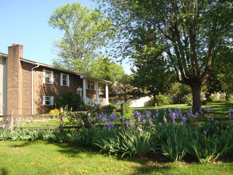 side view