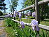DSC04012.JPG