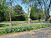 DSC04015.JPG