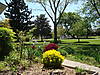 DSC04016.JPG