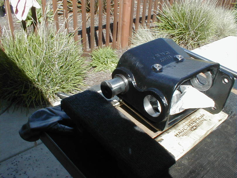 Front_Pig1