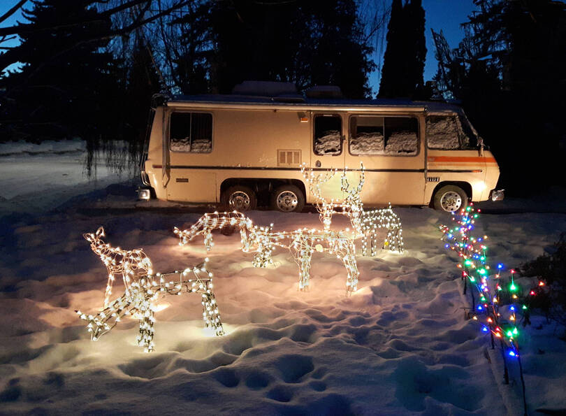 White Christmas Decorations