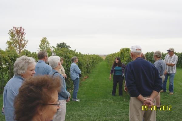 GMCES_12_35