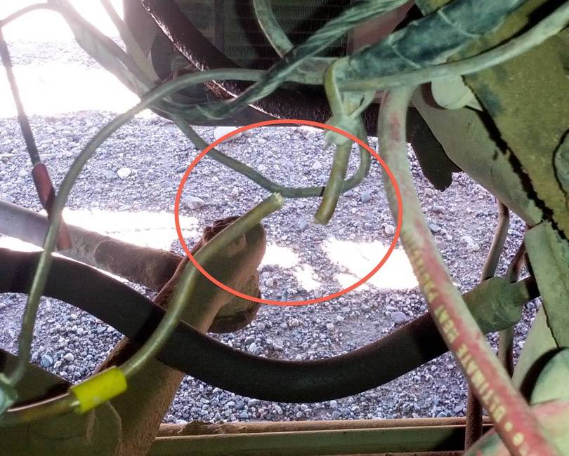 Found the other end of my alternator sensing wire...