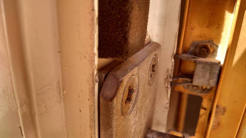 Birch screen door?