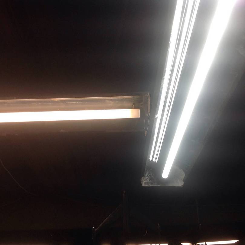 LED shop light